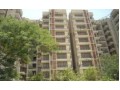 Details : For sale, 3-BHK builder floor. Greater Kailash Part-1 South Delhi. Price Rs. 4.8 crore